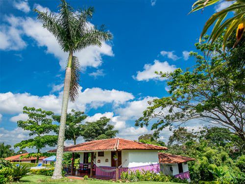 finca prado montenegro quindio